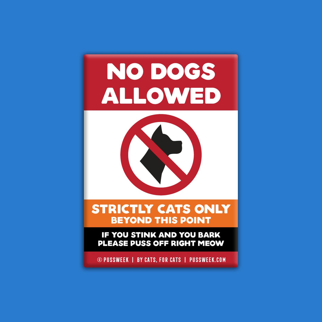 no dogs allowed cat